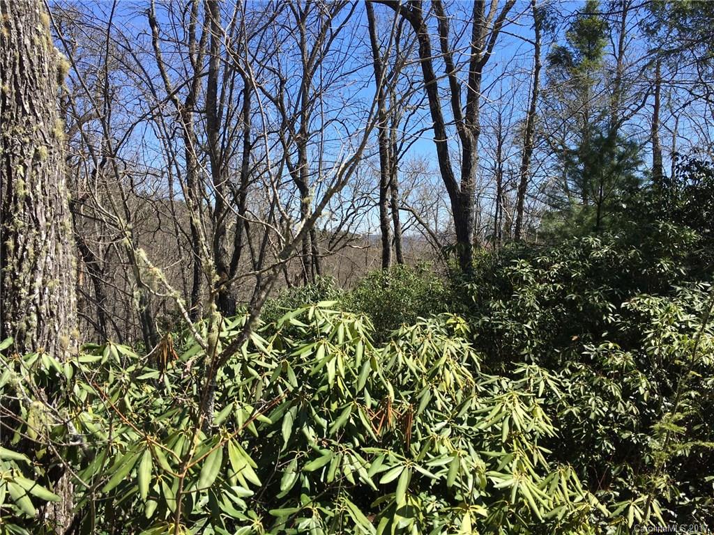 M80 Pine Mountain Trail