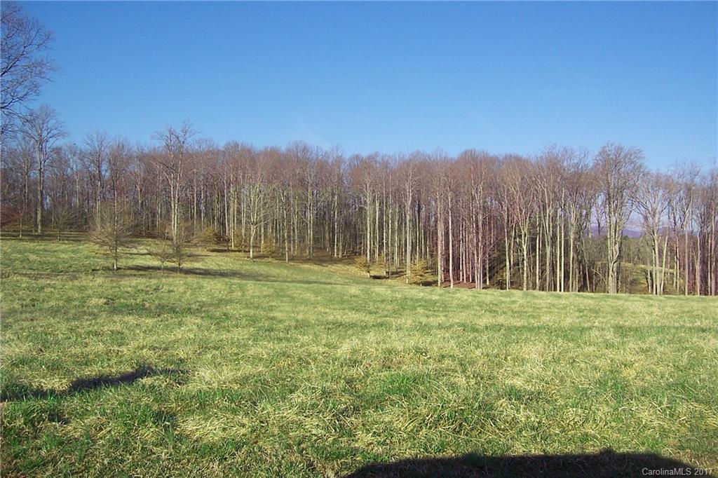 290 Night Lark Lane 15