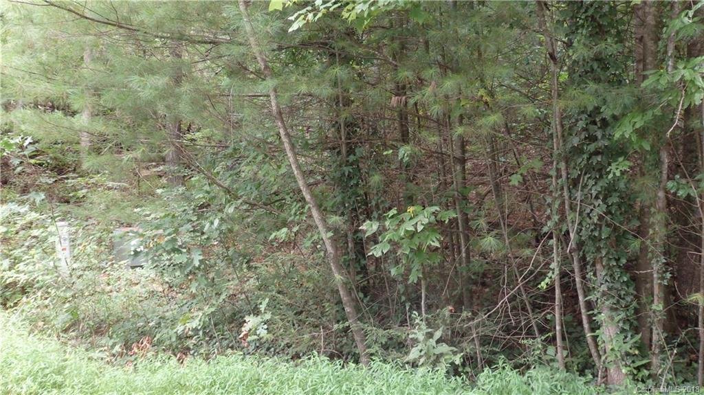 Lot 19 Turkey Creek Court