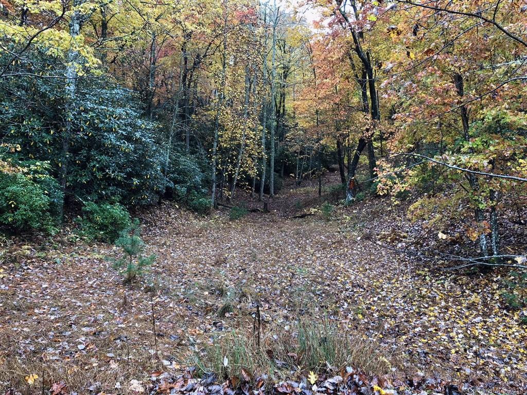Lot 80 Running Deer Trail