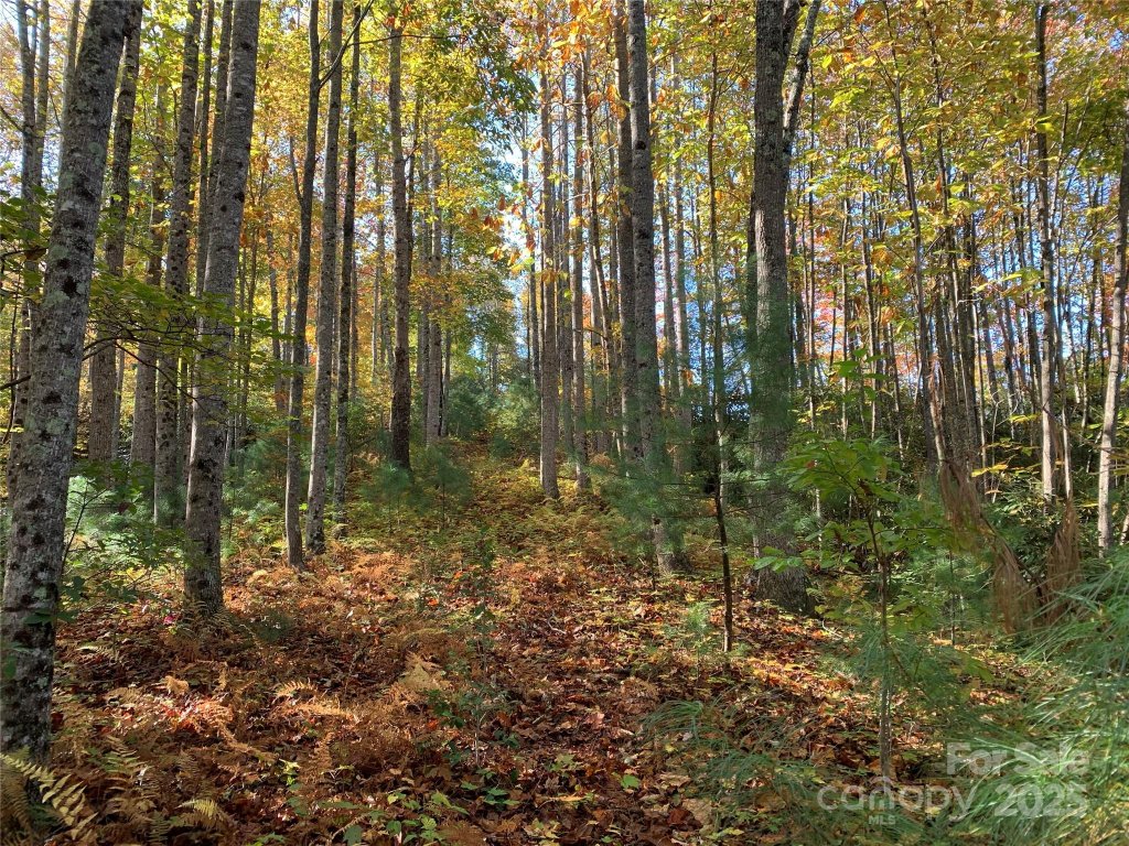Lot 556 Timber Rock Drive