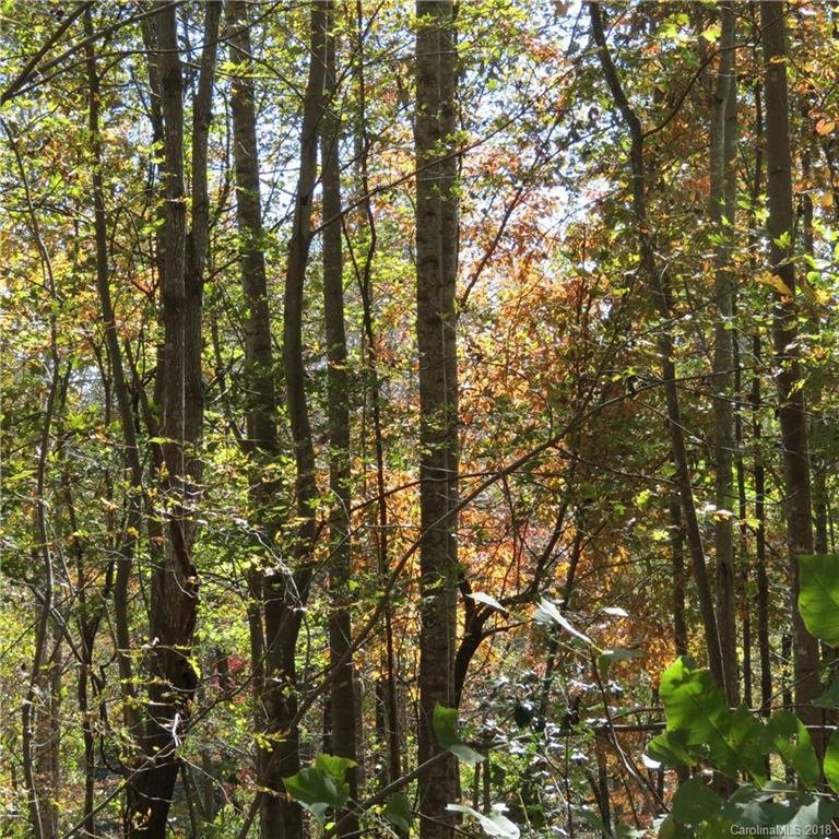 Lot 81 Winesap Boulevard