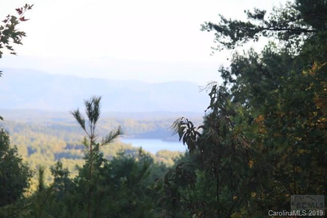 1690 Pisgah Preserve Drive 41