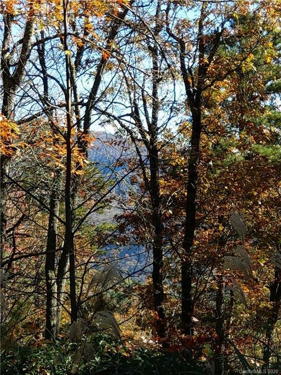 000 Emma Bri Lane F5