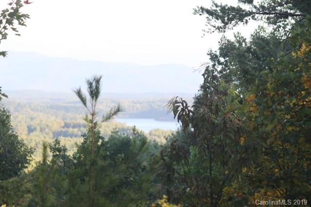 1690 Pisgah Preserve Dr 41