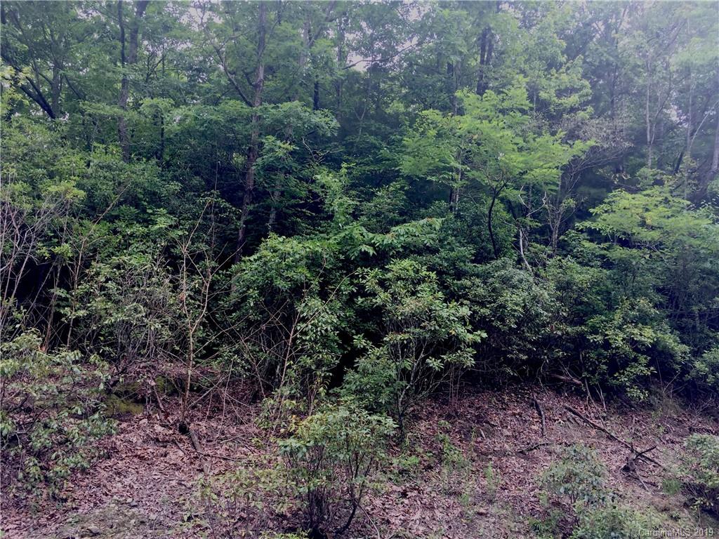 Lt 34 Indian Ridge Trail Lot 34