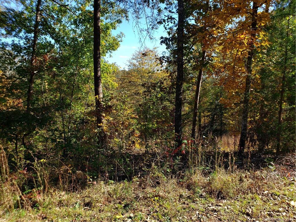00 Cove Creek Drive 12&15
