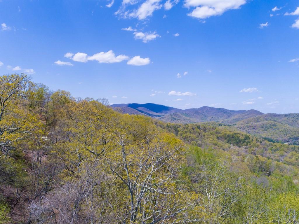 960 Mills River Way 44R