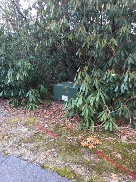 222 Conifer Falls Road