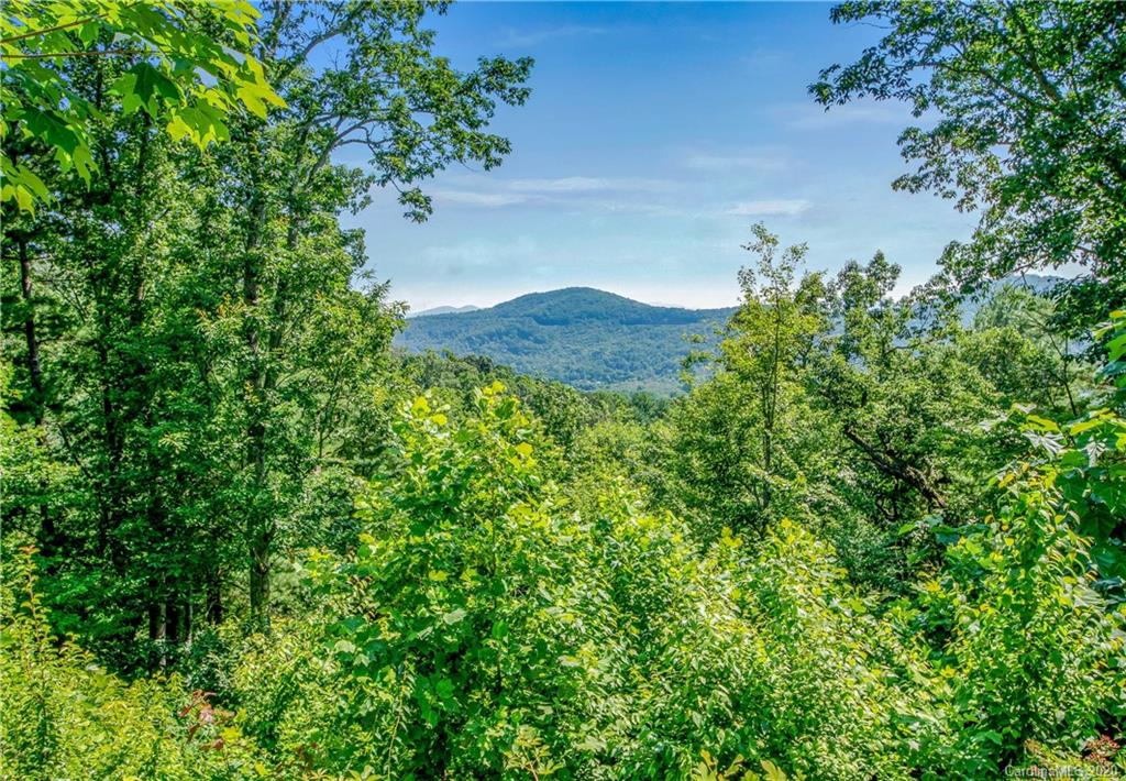 63 Boulder Creek Way 22