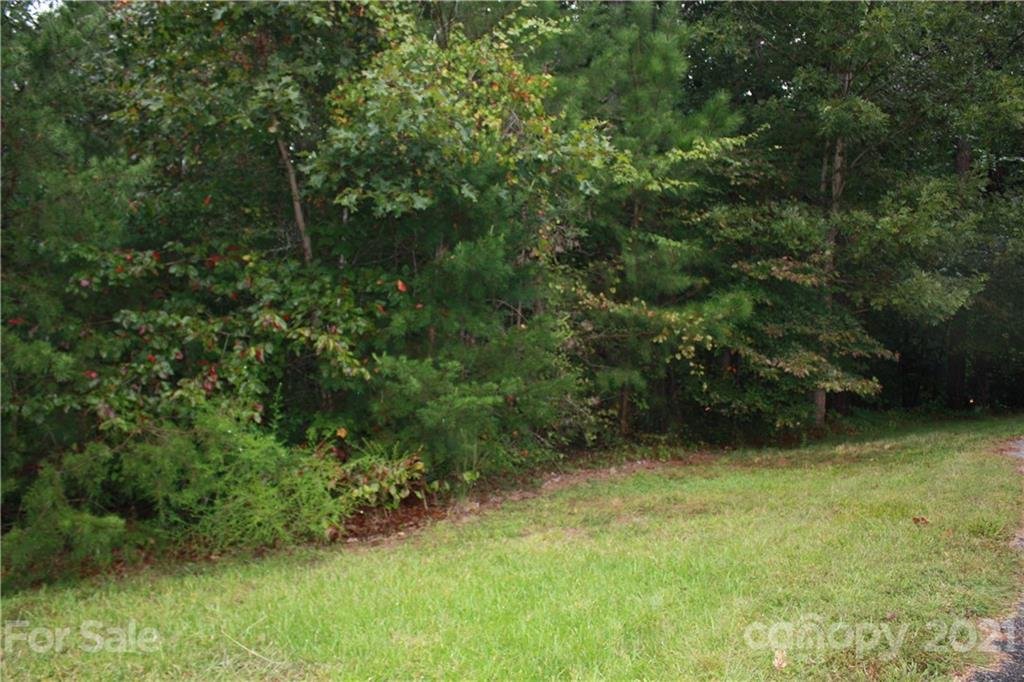 001 Miners Creek Drive 32