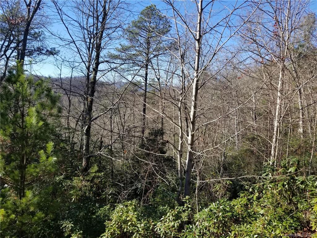 Lot 7 Laurel Hollow Road