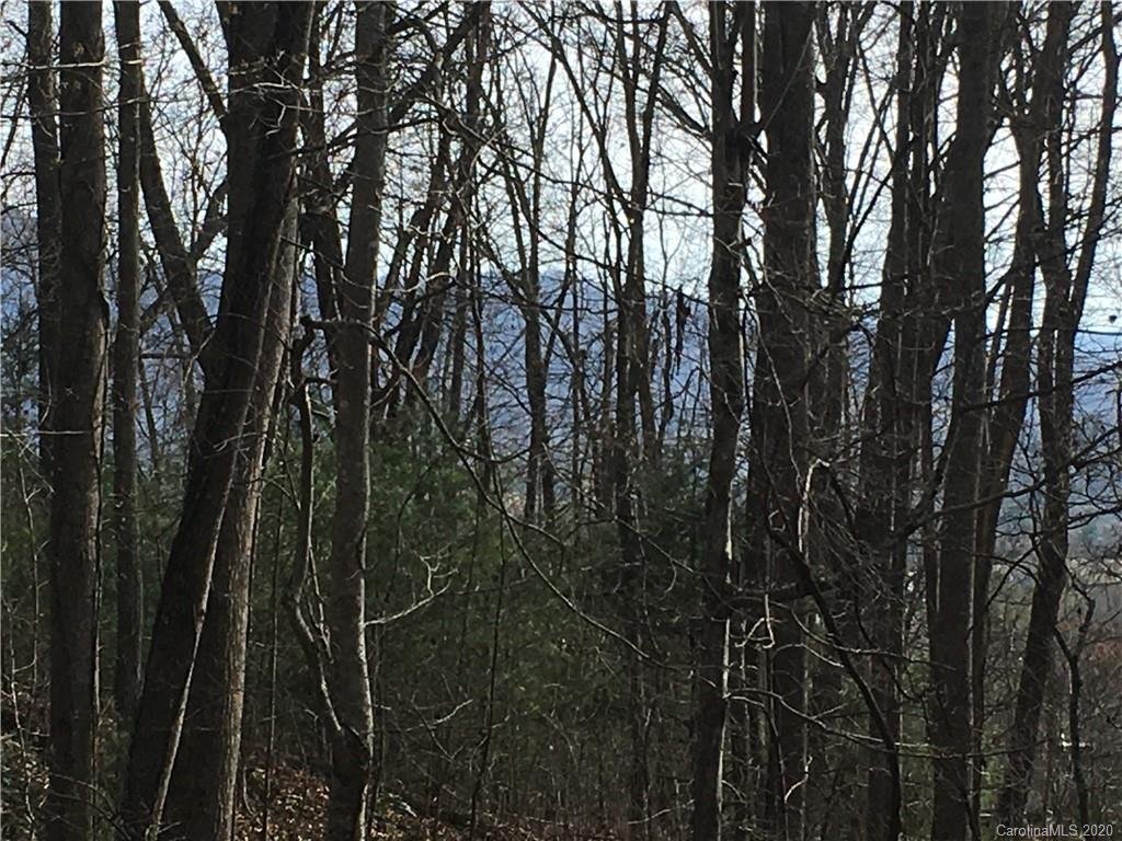 Lot 15 Village Coyote Hollow Road