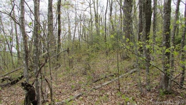 Lot 13 Walker Ridge Road