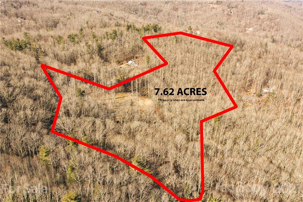 790 Davis Mountain Road