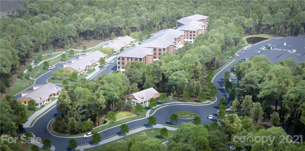 Cornelius Woods, Cornelius community