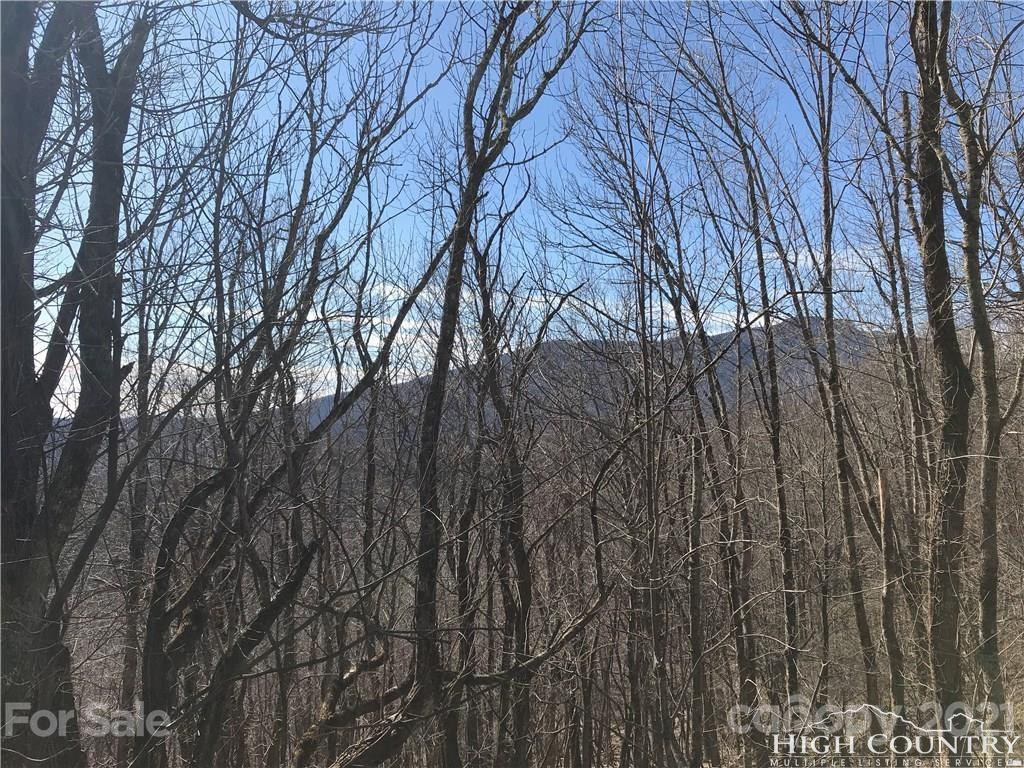 Tbd Lots 65 66 67 Telemark Lane 65, 66, & 67