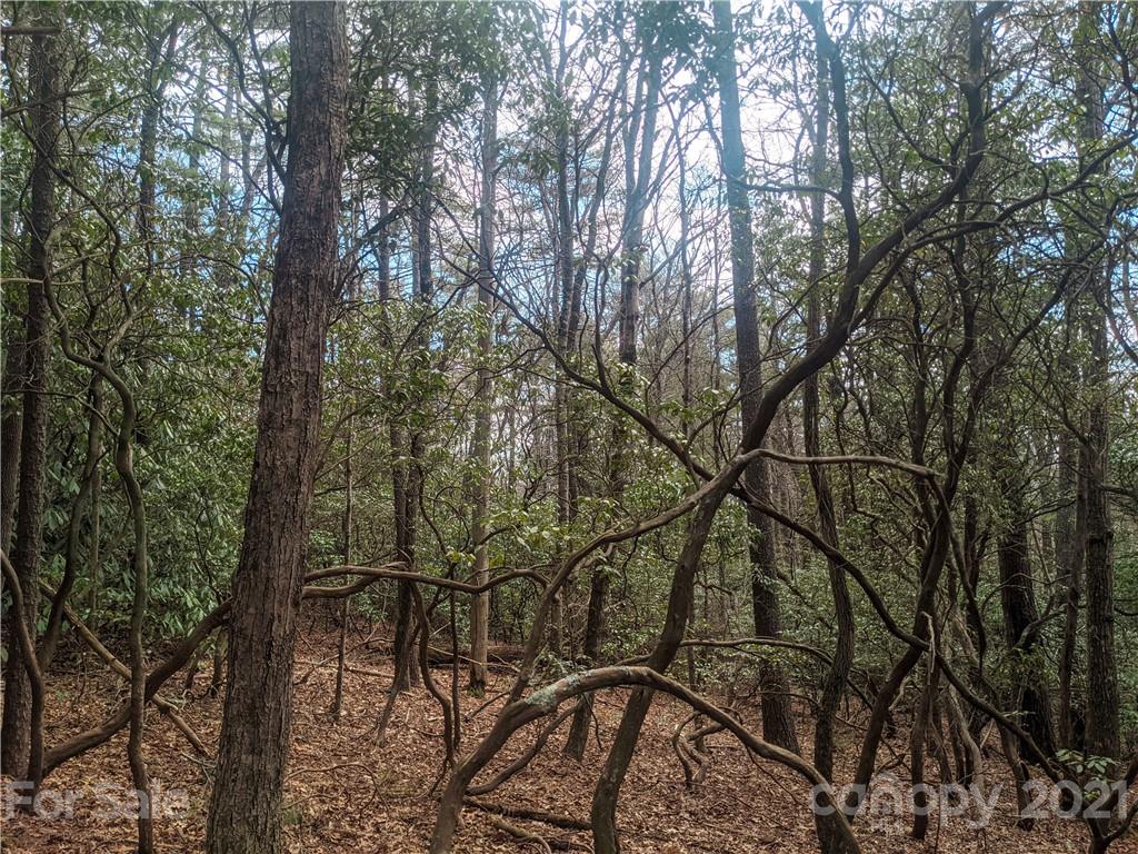 Tbd Wipprecht Drive 7 & 8