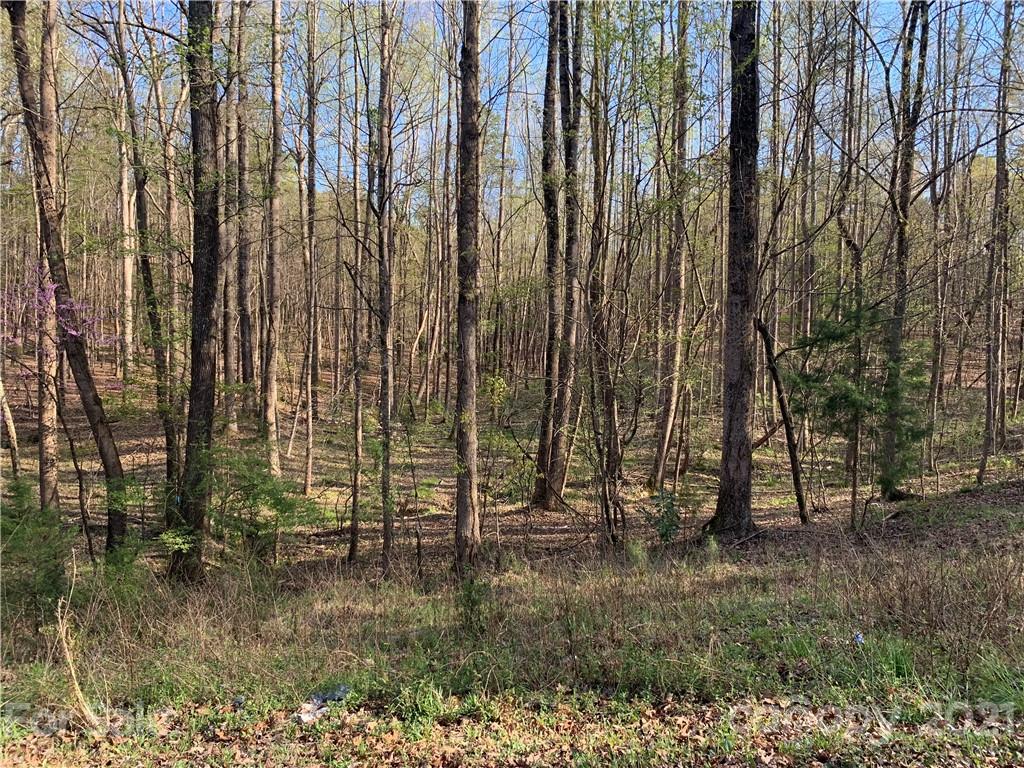 41 Eutaw Drive