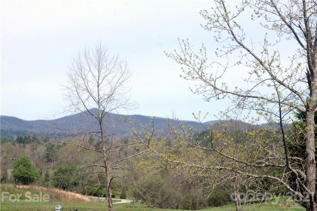 19 Silver Fox Lane Lot 19