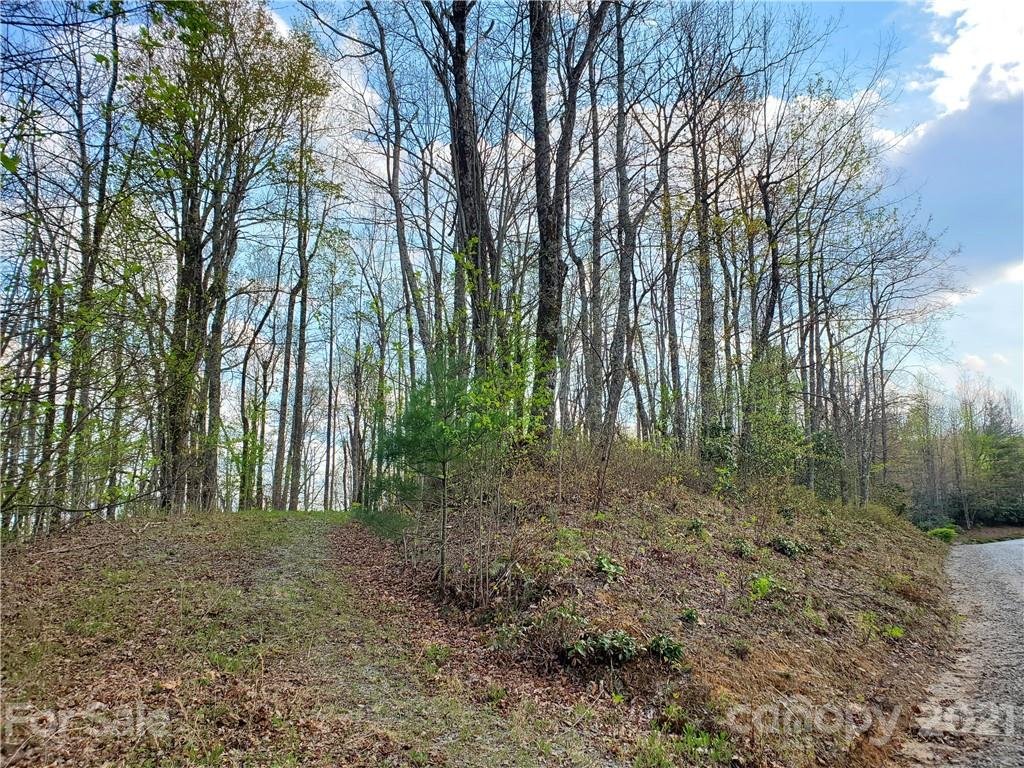 Corner Long Ridge Lane Eastatoe Gap Road Lot #11