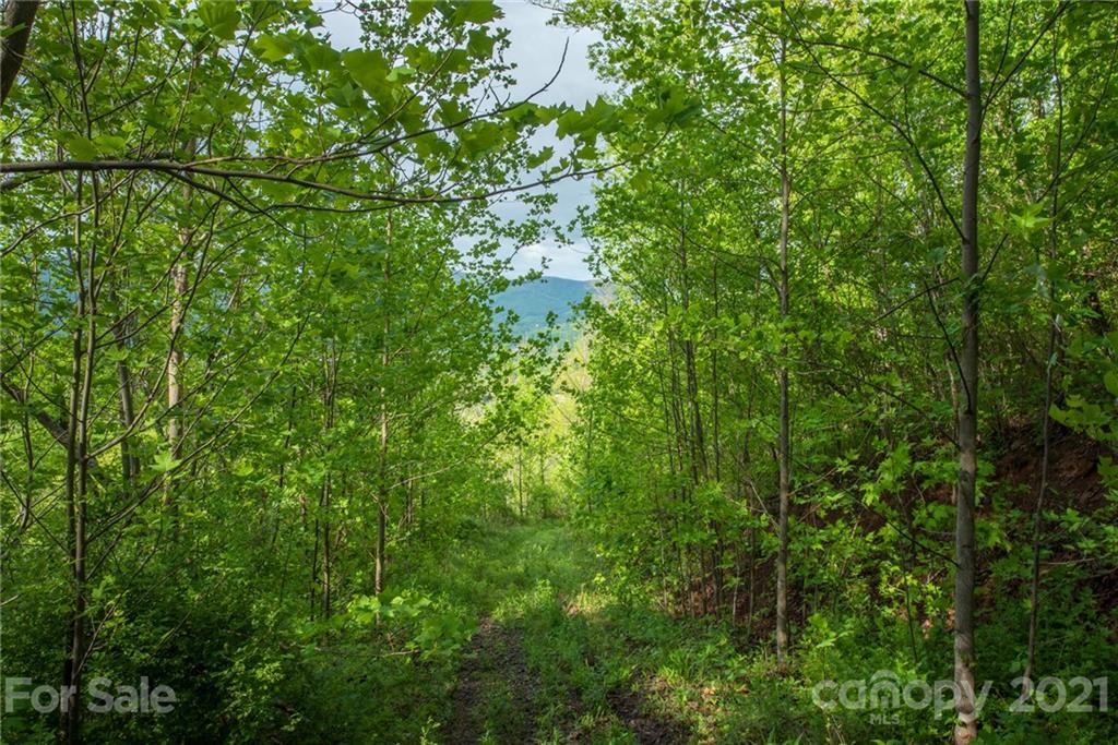 5 Jacobs Ladder Lane