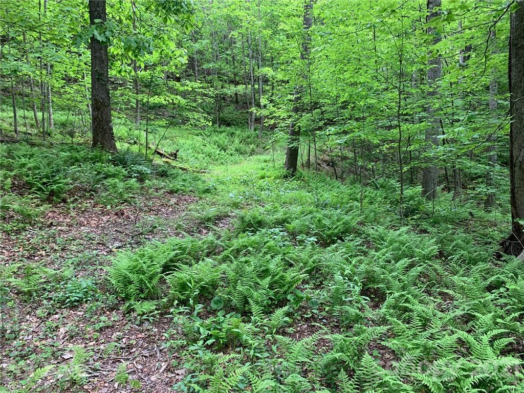 221 Soapstone Creek Drive