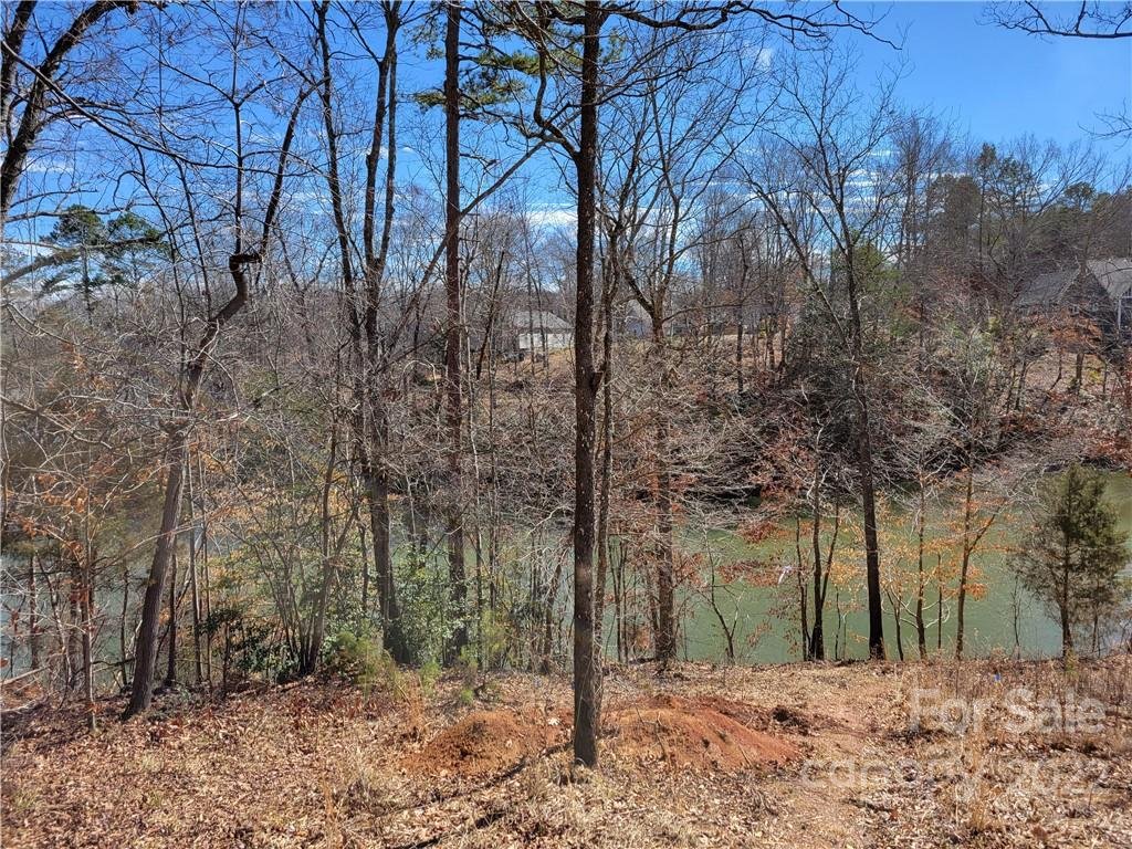 1337 Terrapin Ridge Road