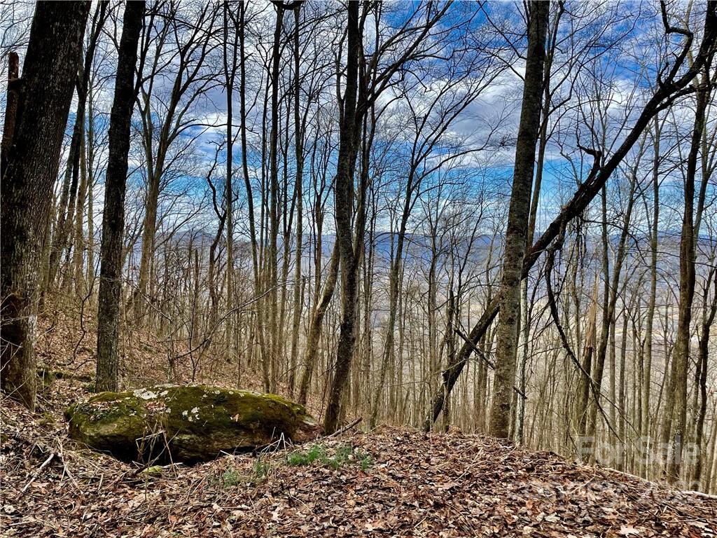 Lots 315 317 Mcguires Ridge