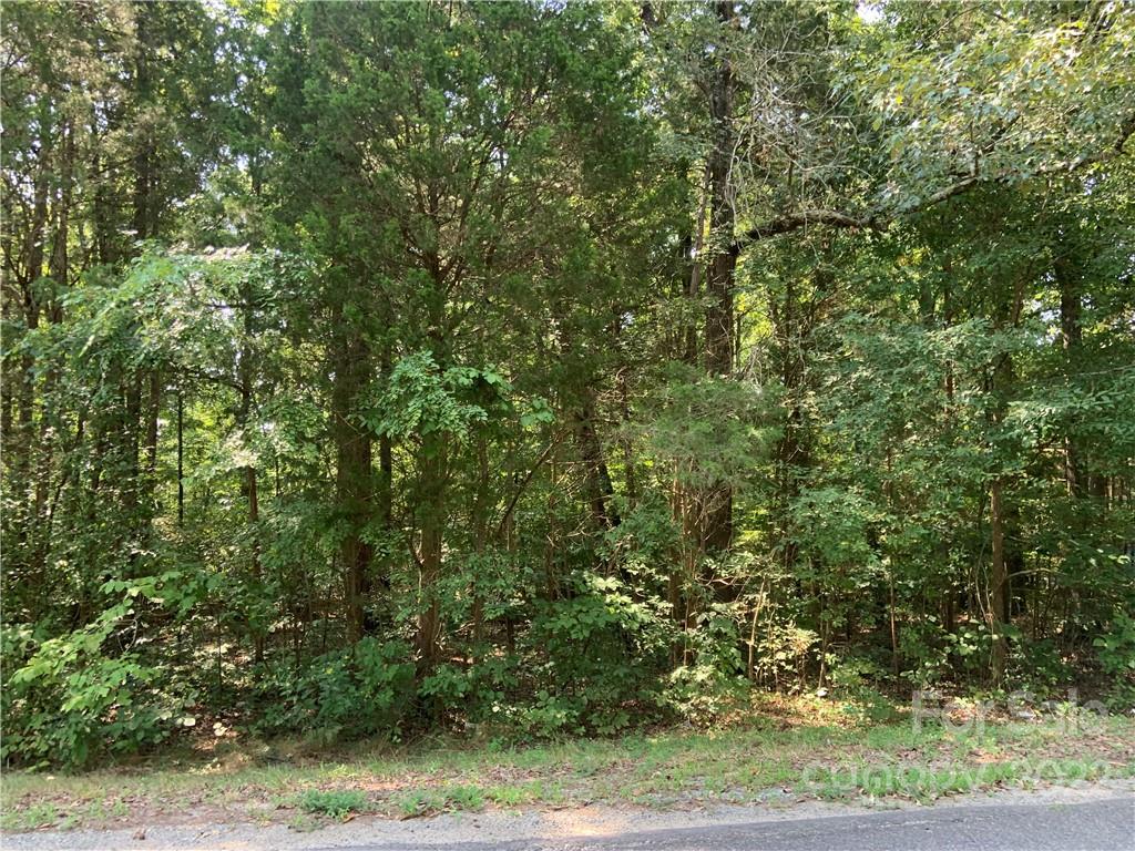 5921 Hardwood Lane 12