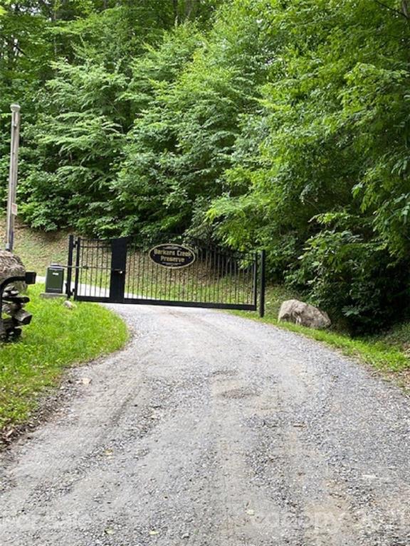 0 English Setter Trail 7