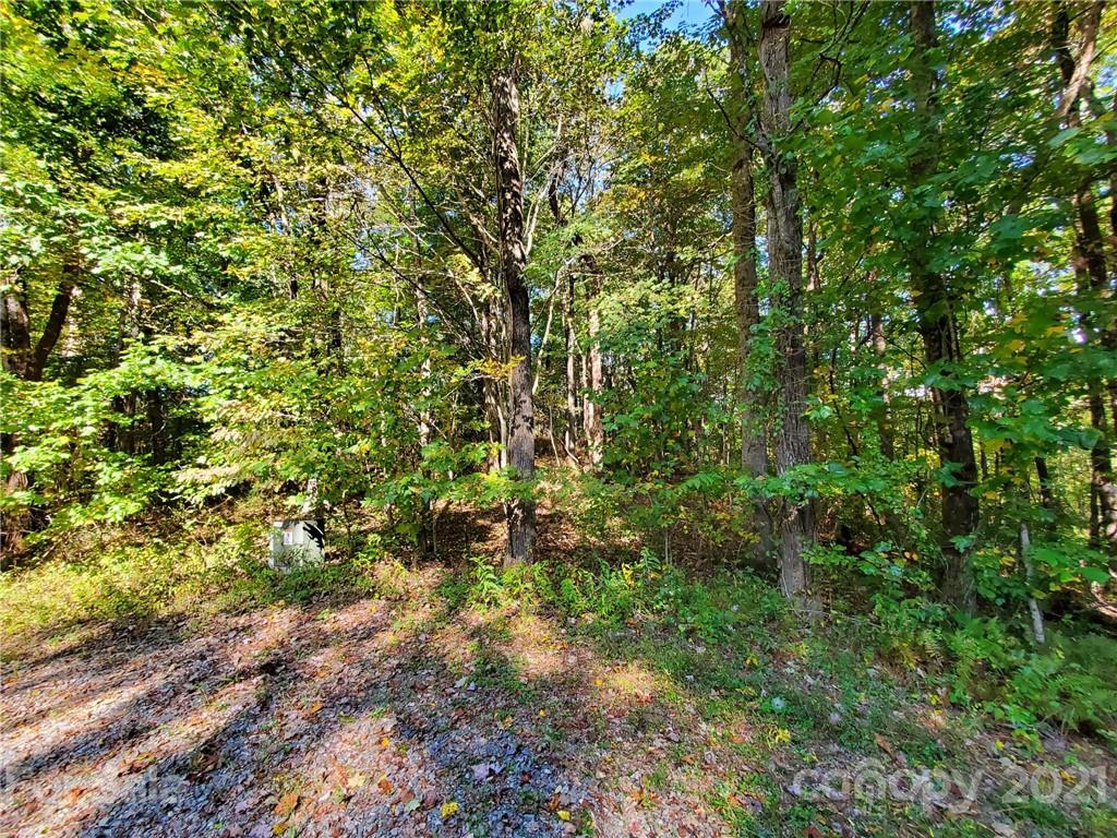 Tbd Eastatoe Gap Road LT 2