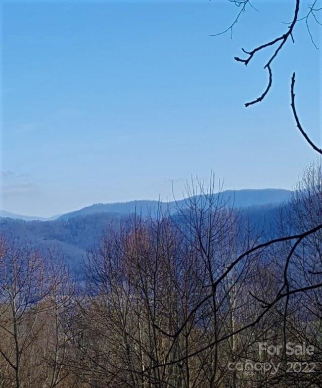 6 Crystal Tree Drive