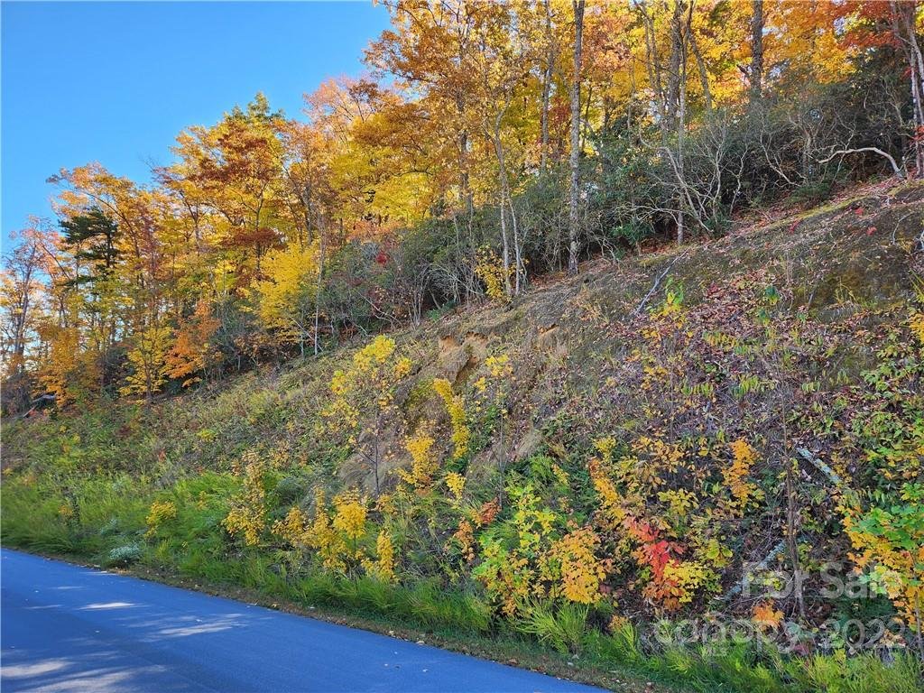 0 Winding Ridge None 164