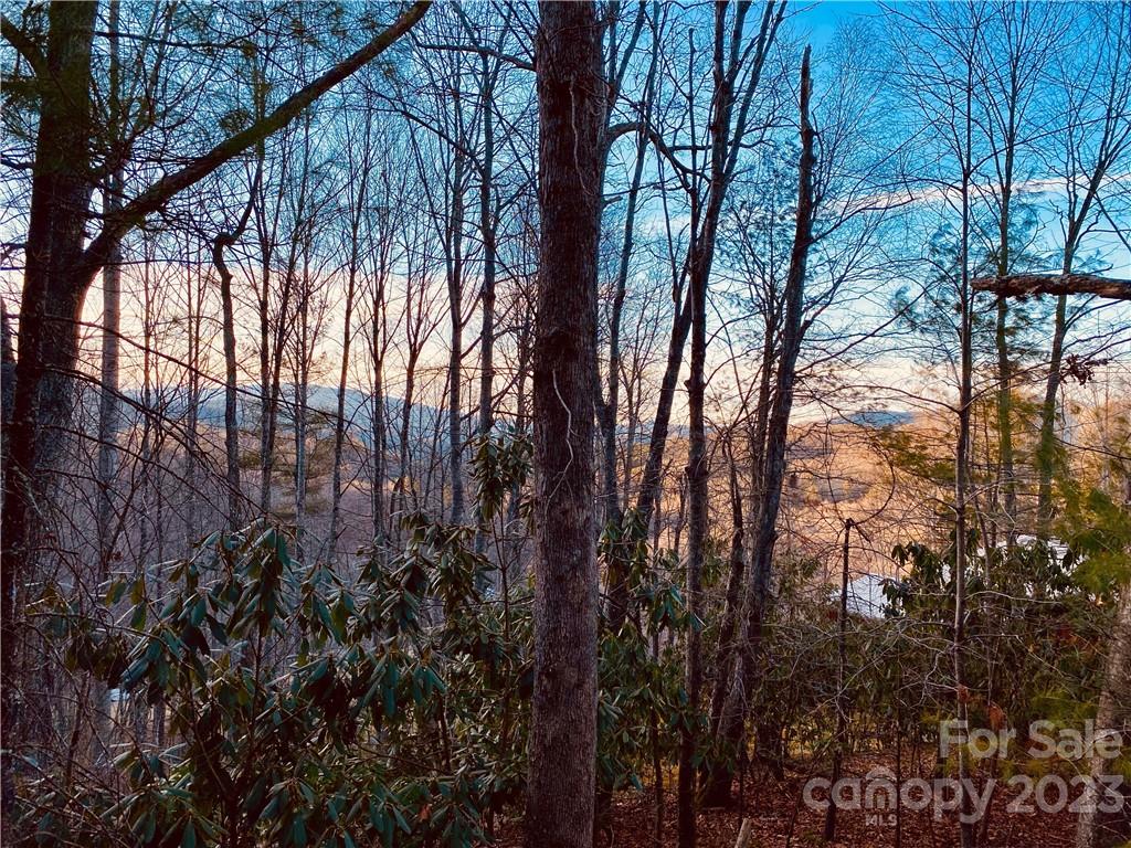 7a And 9a Cawood Lane