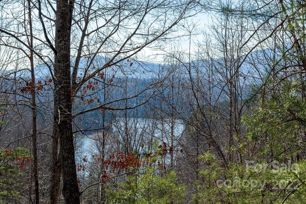 Lot 2 Highland View Lane