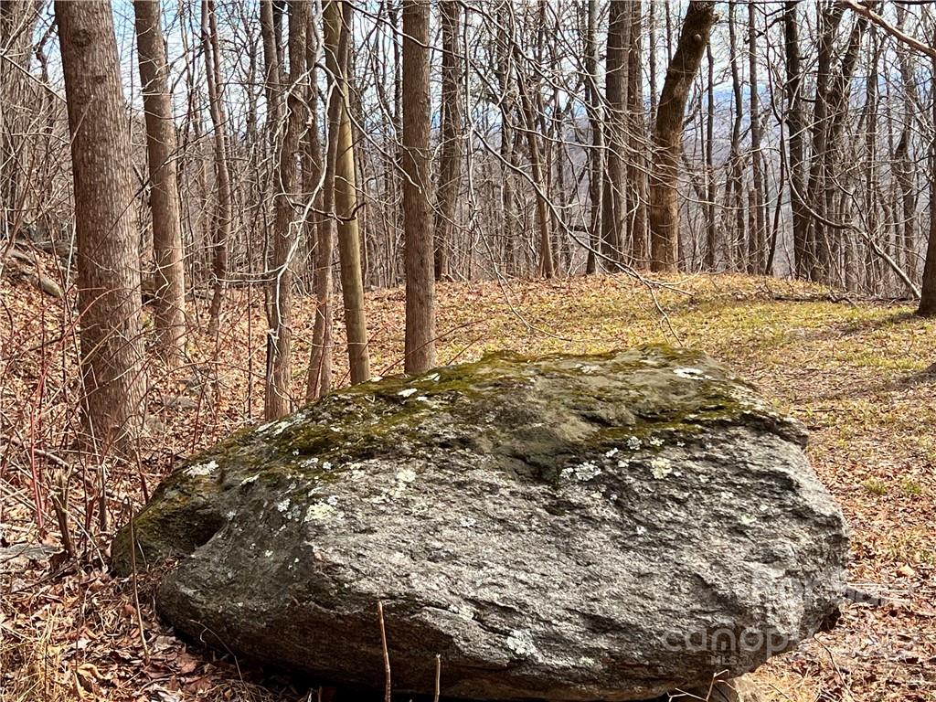 9999 Skyuka Mountain Road 2