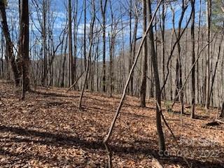 42 Acres Green River Cove Road