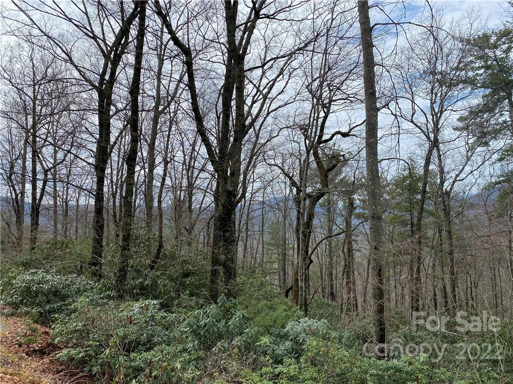 V L N Forest Drive 44