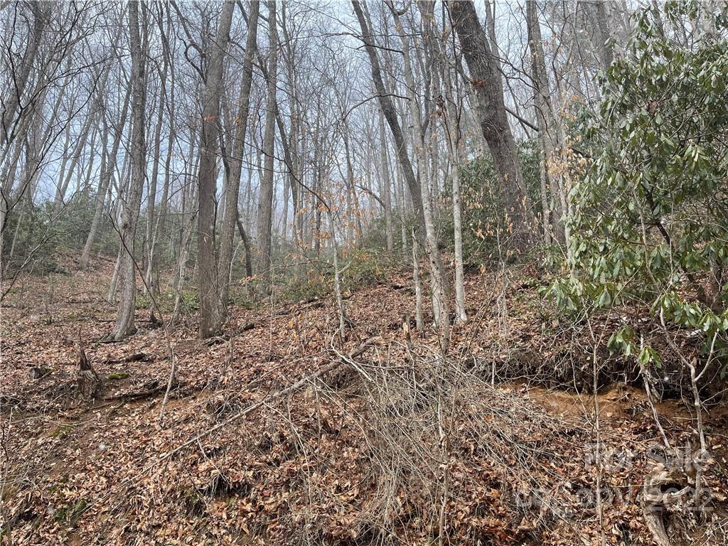 000 Chestnut Branch Road 137,138,139