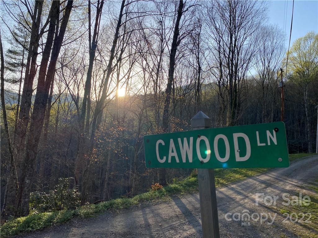 11a And 15a Cawood Lane