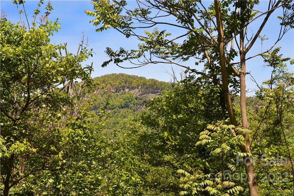 22 Chesten Mountain Drive 1