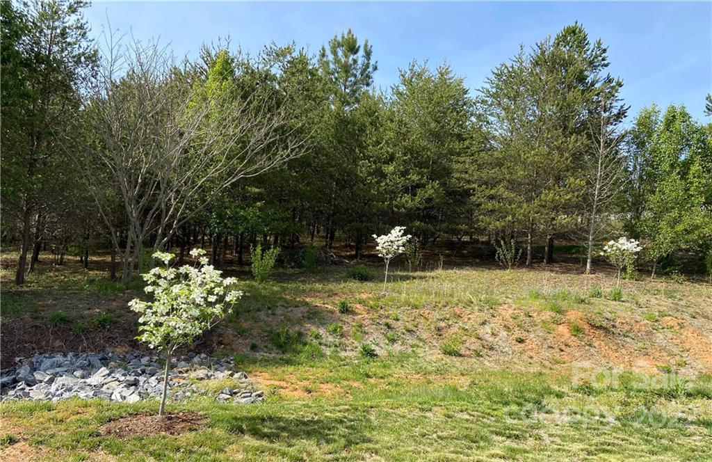 4286 Quarry Drive