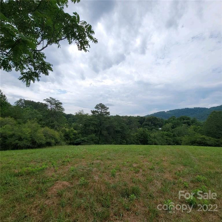 0 Laurel Lakes Parkway 001