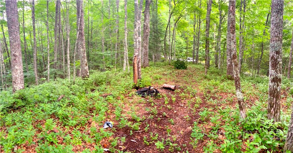 0 Leafy Knoll Circle 135