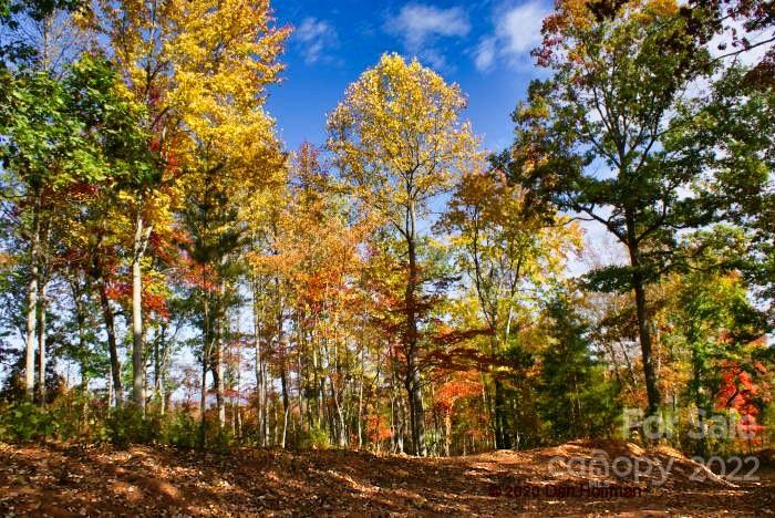 0 Hearthstone Drive 73