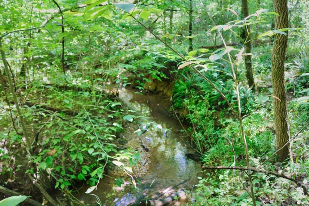 0 Woodstock Lane 166