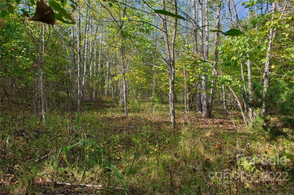 0 Chimney Creek Lane 194