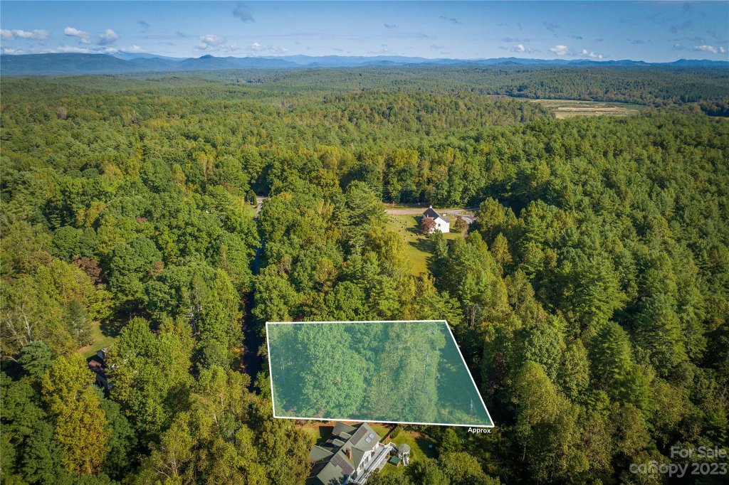 Sherwood Forest, Morganton community