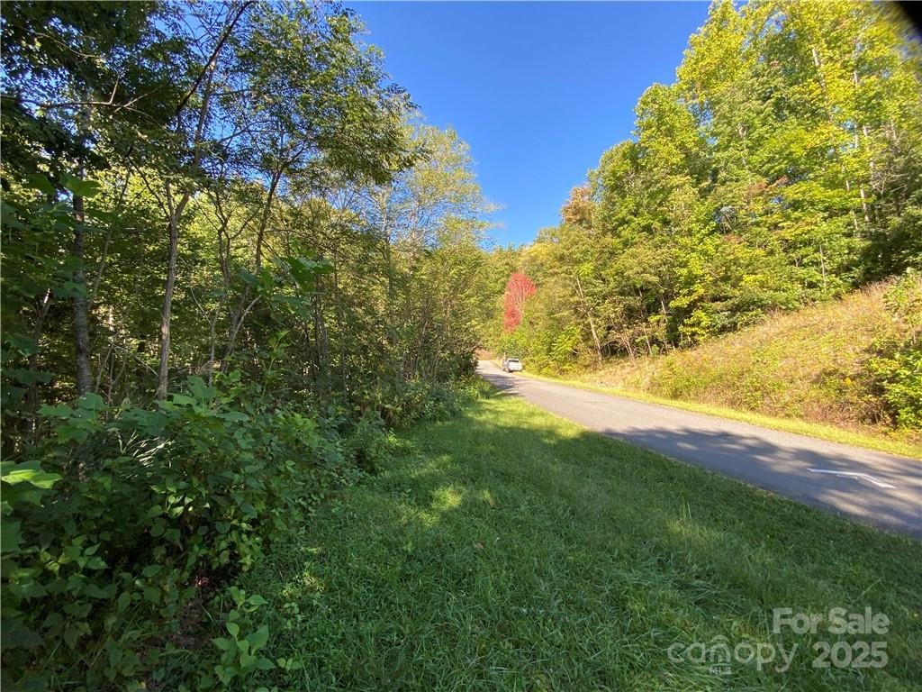 Blue Heron Point, Lake Lure community